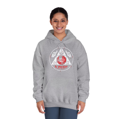 Unisex DryBlend® Hooded Sweatshirt