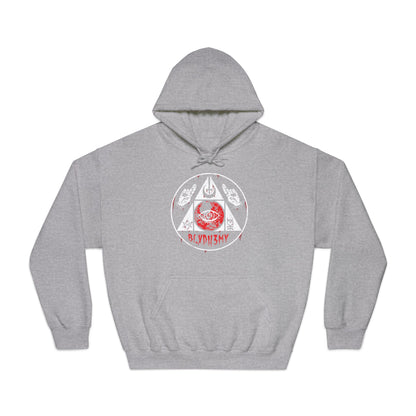 Unisex DryBlend® Hooded Sweatshirt