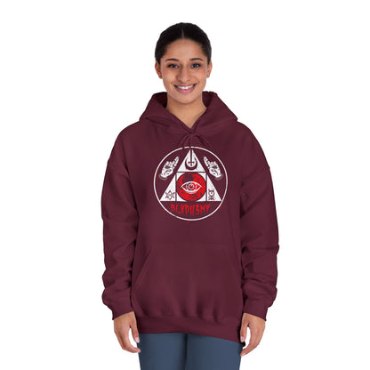Unisex DryBlend® Hooded Sweatshirt